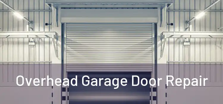  Overhead Garage Door Repair 